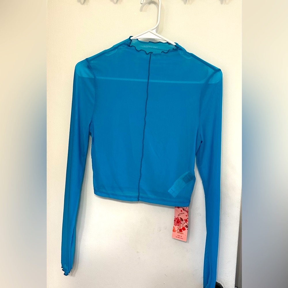 Sheer long sleeve crop top